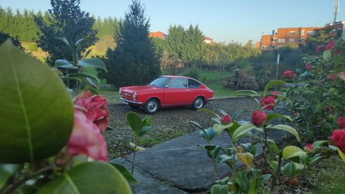 Fiat 850 Coupé 1967